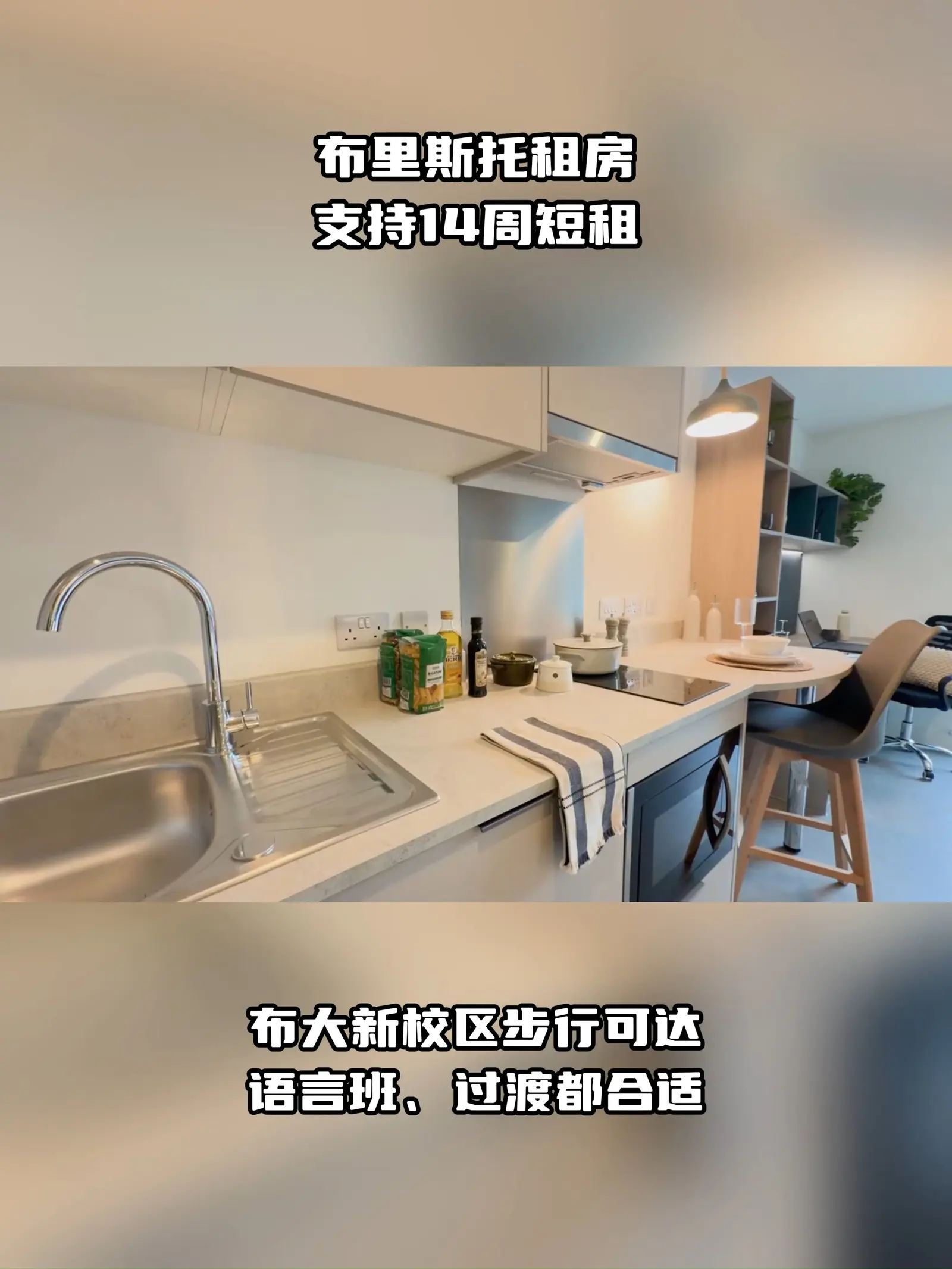 布里斯托租房❗布大新校区步行可14周起租！
