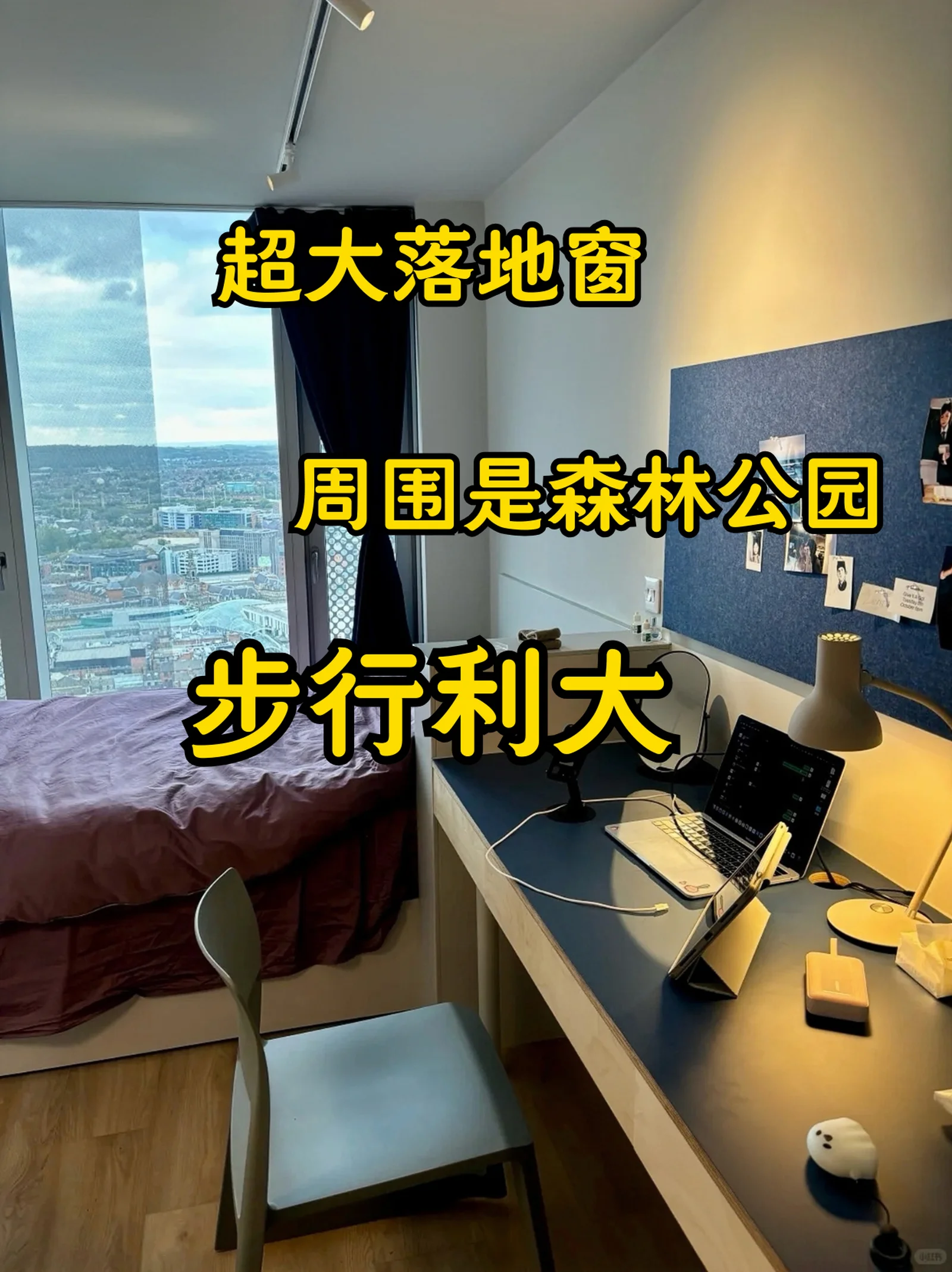 利兹租房｜C 位✨朝南落地窗公寓 步行利大