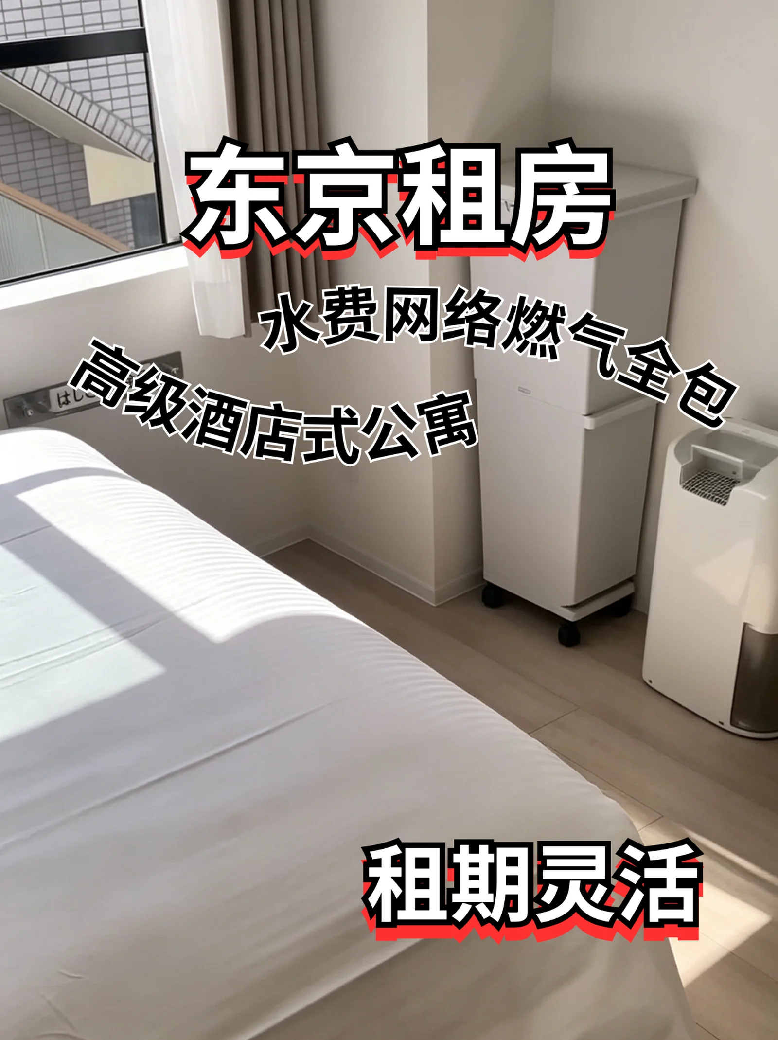 东京租房｜独居酒店式公寓✨大采光 精装修