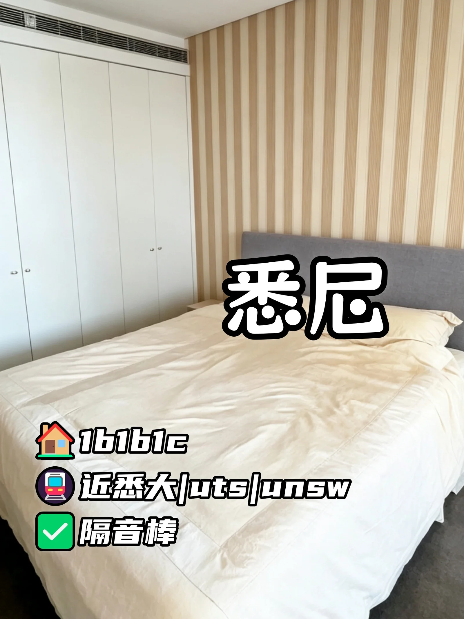 悉尼租房🏠近悉大UTS新南 1b1b1c随时起租