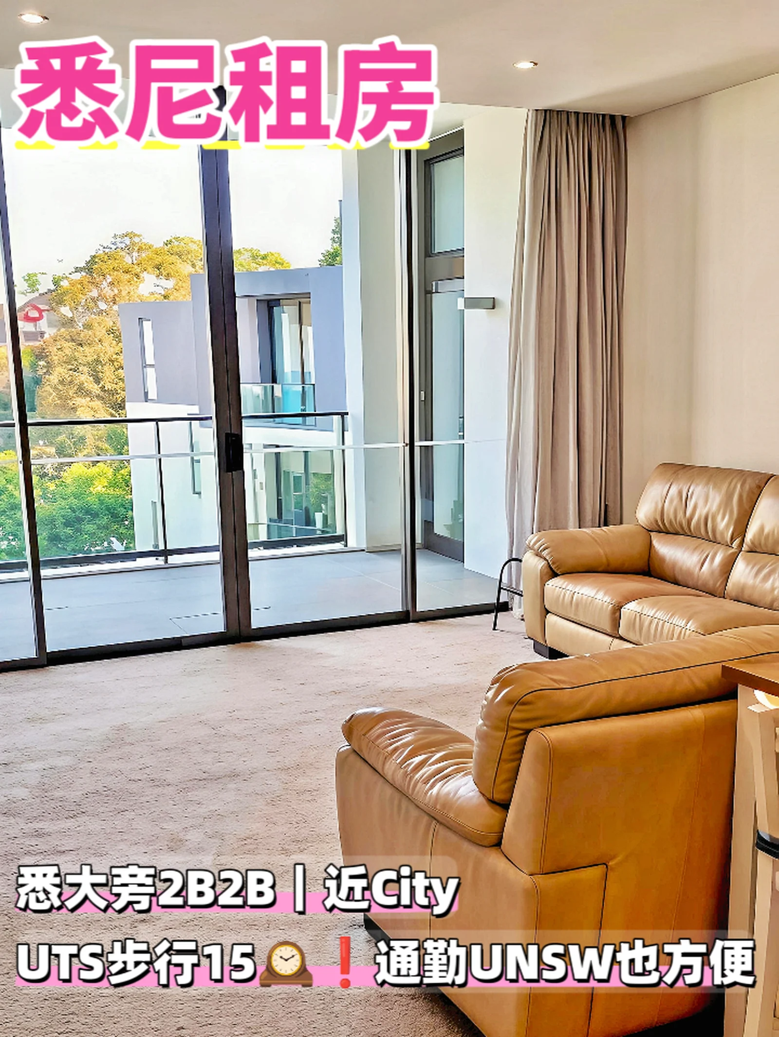 悉尼租房❗悉大旁社会公寓2B2B包家具随时住