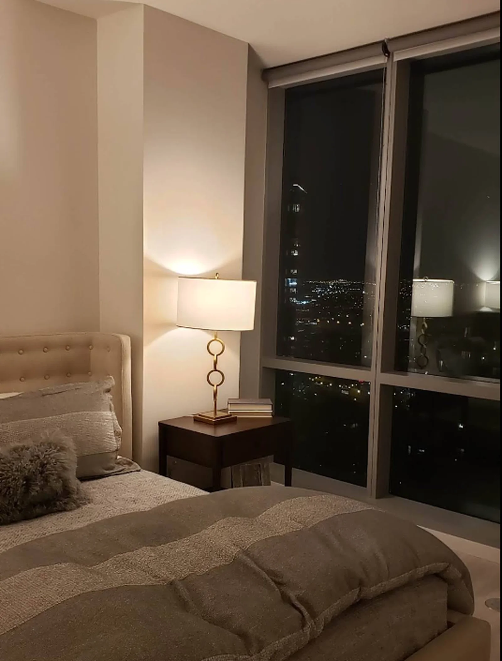 芝加哥 | South Loop 湖景公寓 好价❗️