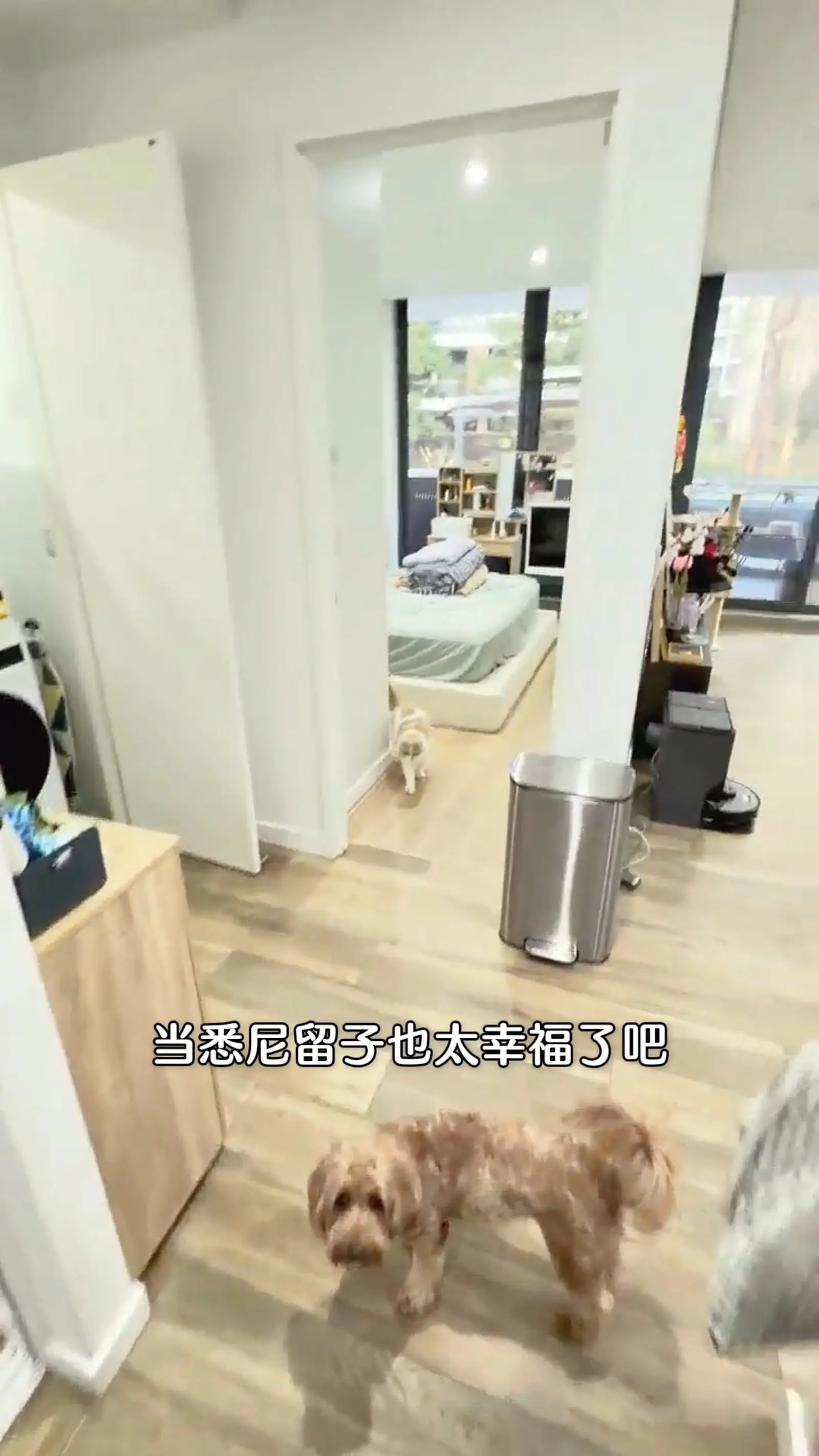 悉尼租房|Mascot 1b1b带车位书房