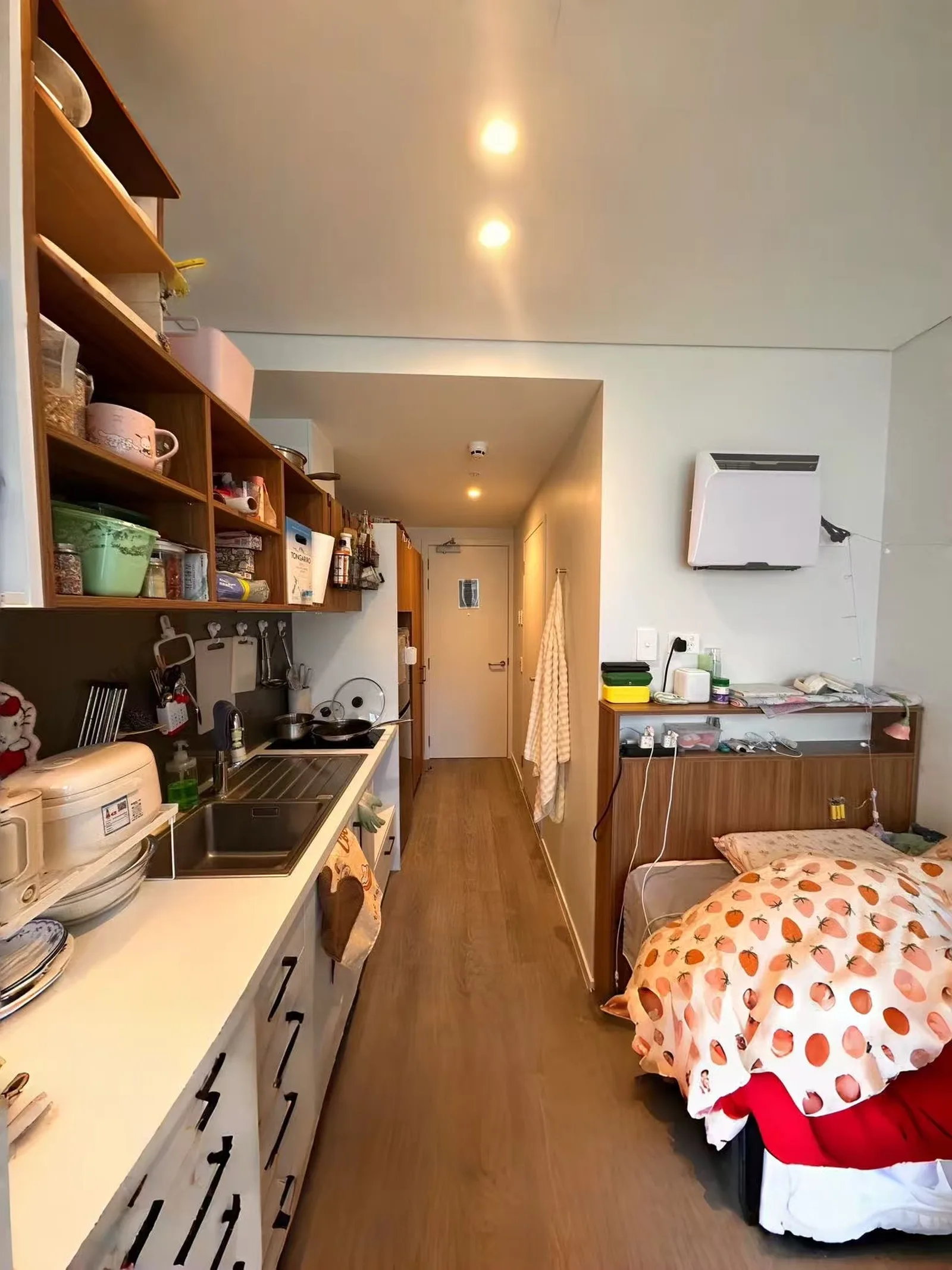 奥克兰|奥大/AUT神仙studio全包Bill步行到校