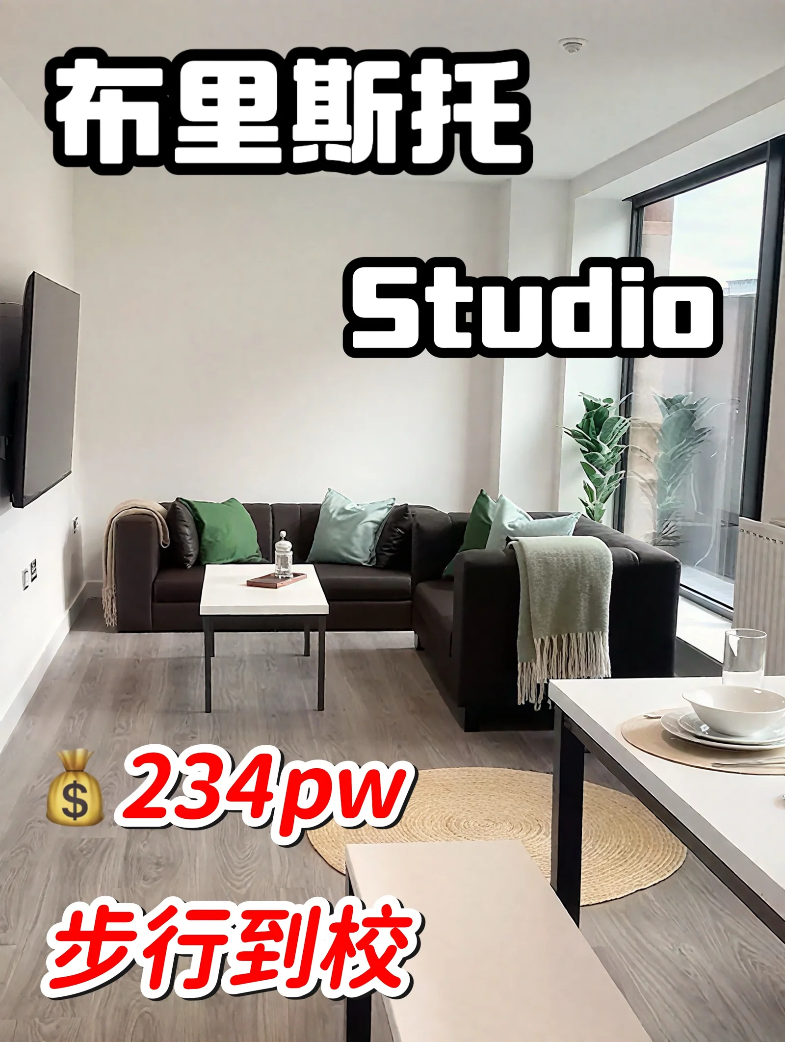 布里斯托26fall租房 全新公寓!studio 💰234pw起 步行到校天花板