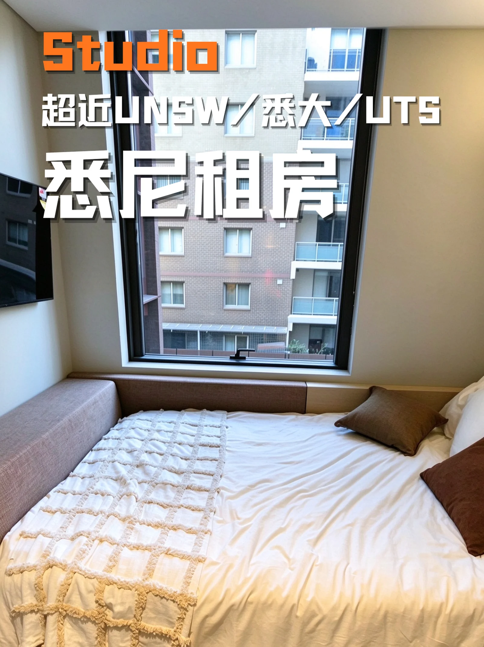 悉尼留学的救星studio来了！
