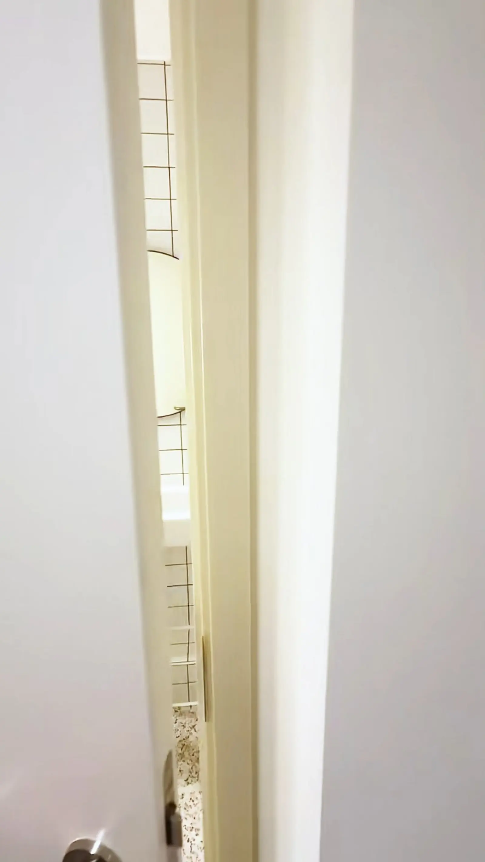 曼城租房🏠步行到校 朝南studio