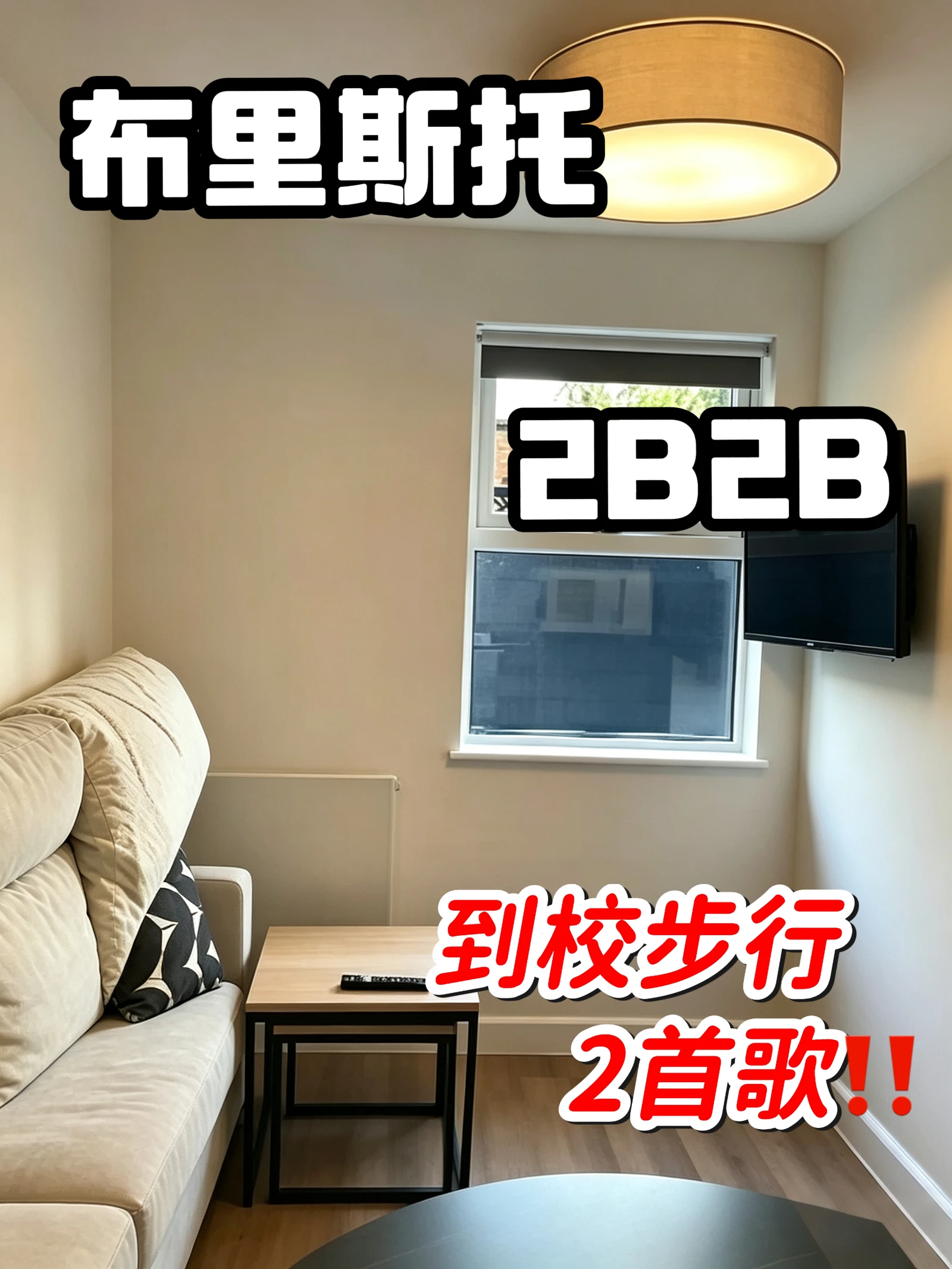 布里斯托2b2b 社会公寓找室友 步行到校‼️