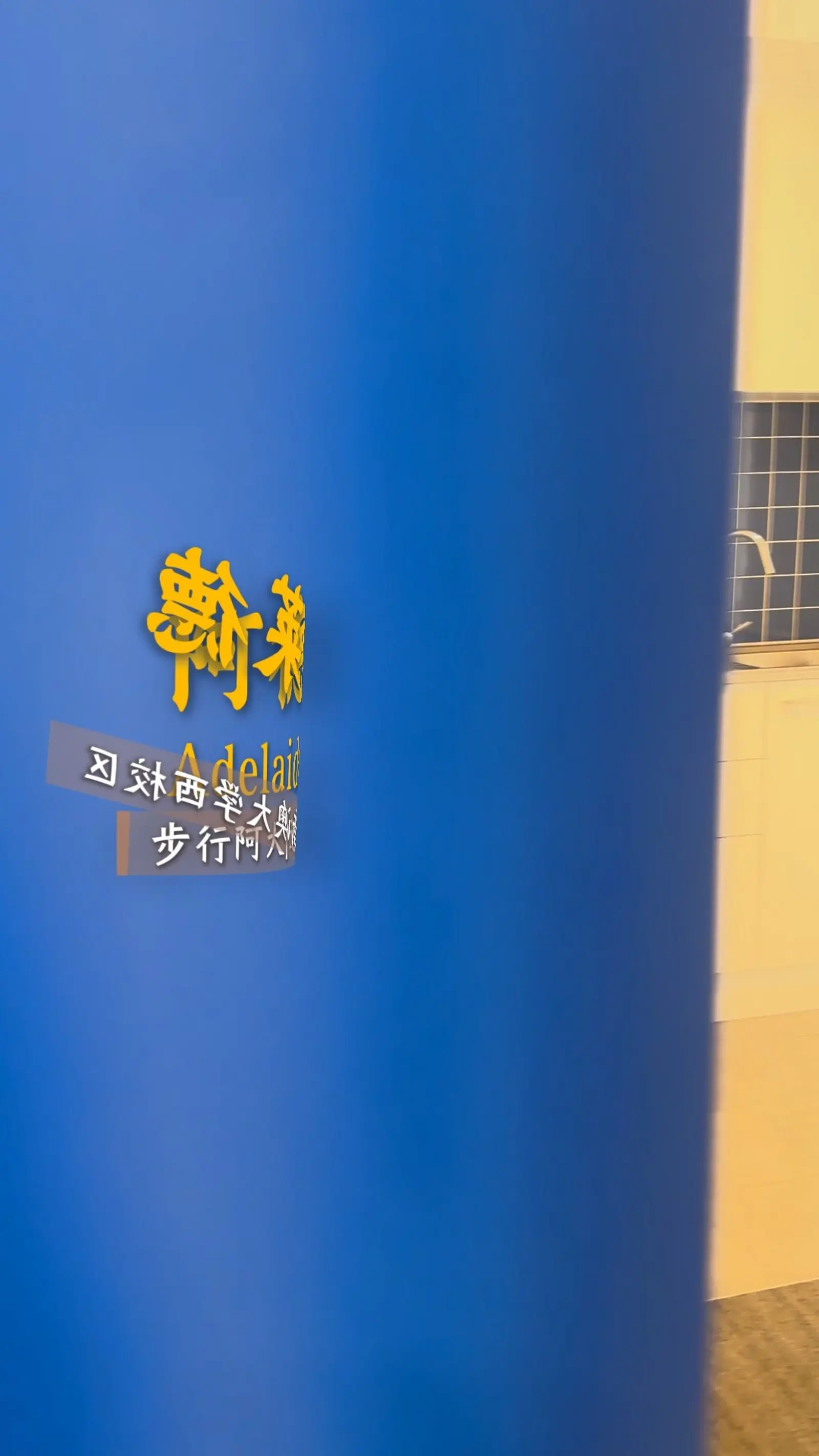 阿德莱德租房|步行达阿大高性价比公寓🥳