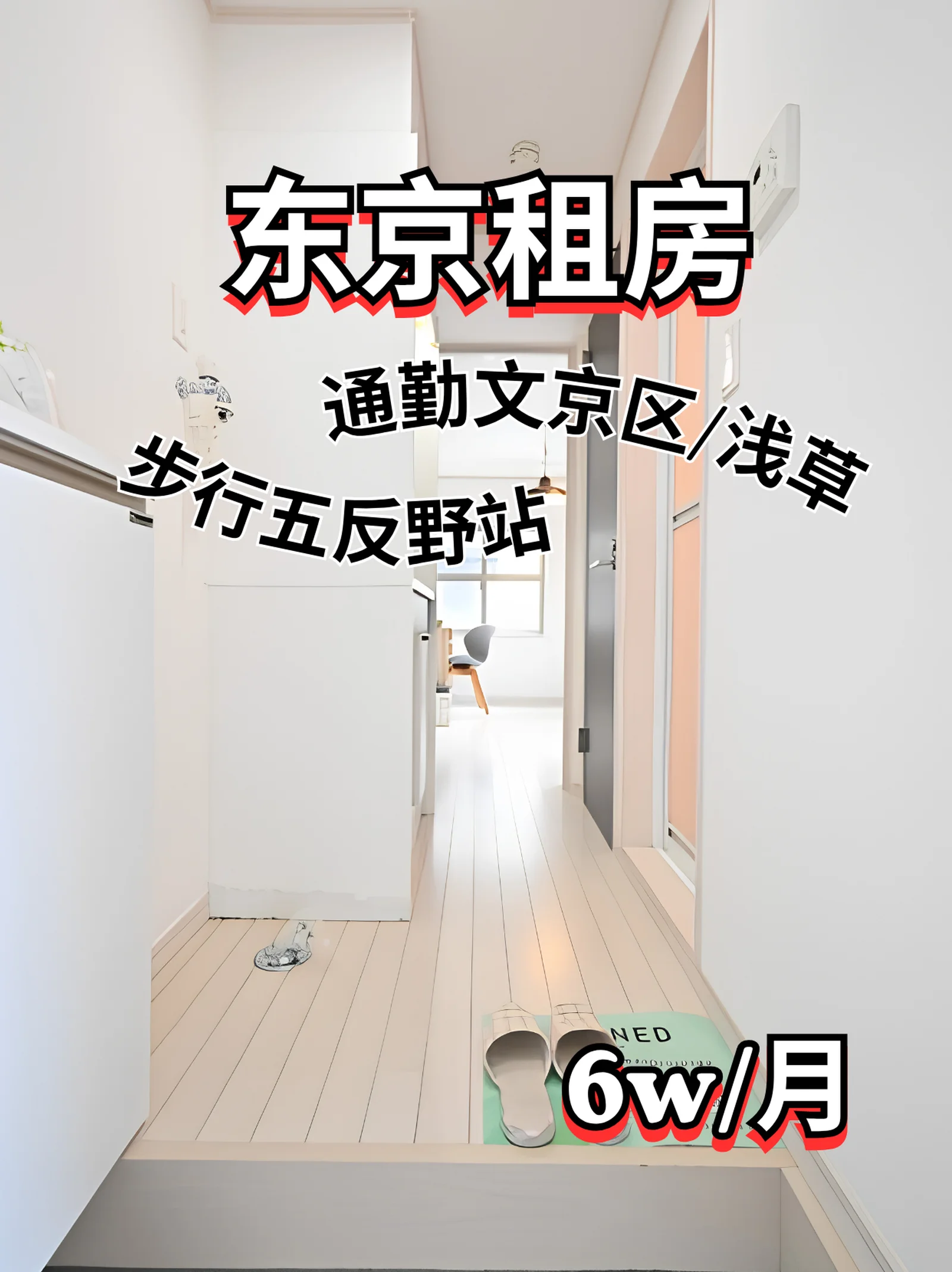 东京租房｜采光明亮6w预算通勤友好好房