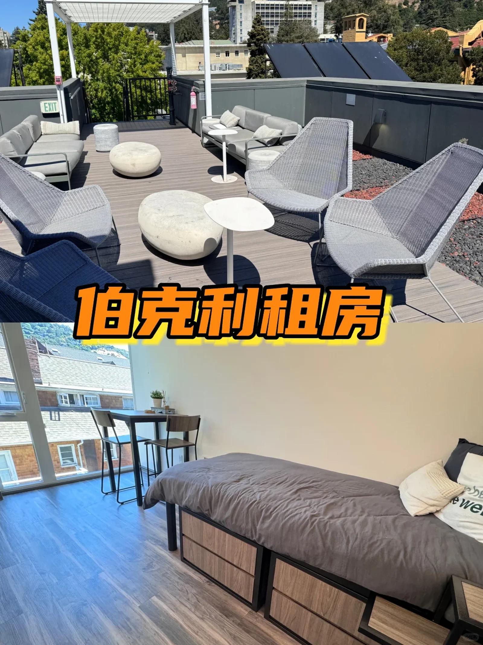 UCB 法学院旁Studio❗可长租可春季短租