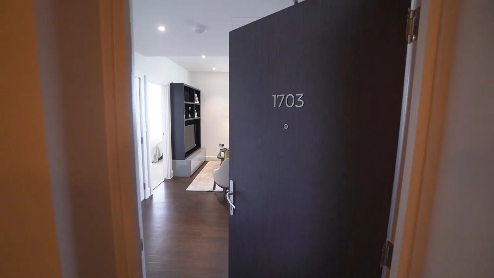 狗岛转租，现代化轻奢1b，可直接拎包入住