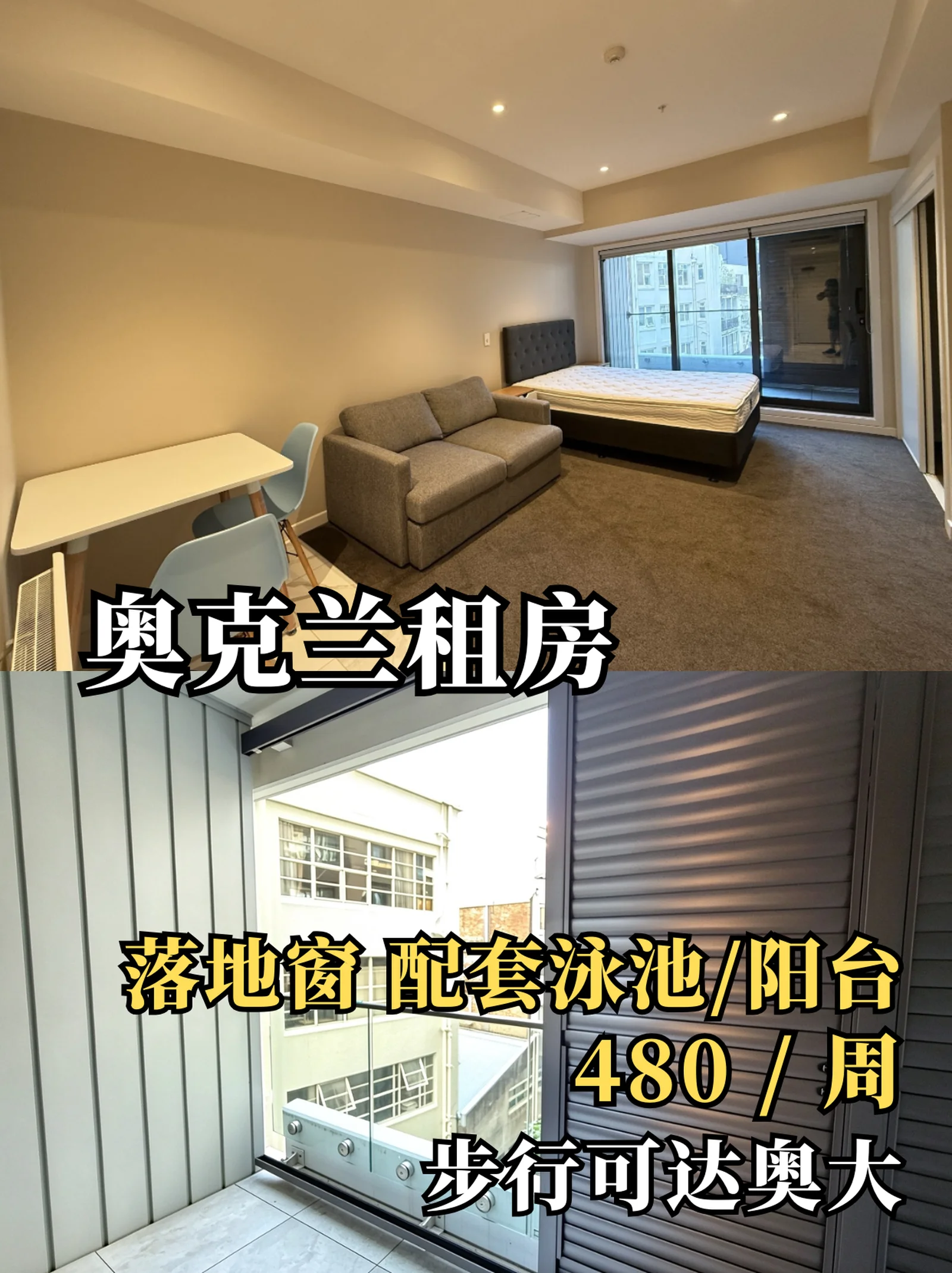 ✨奥克兰租房｜1B1B💰480 步行奥大 阳台