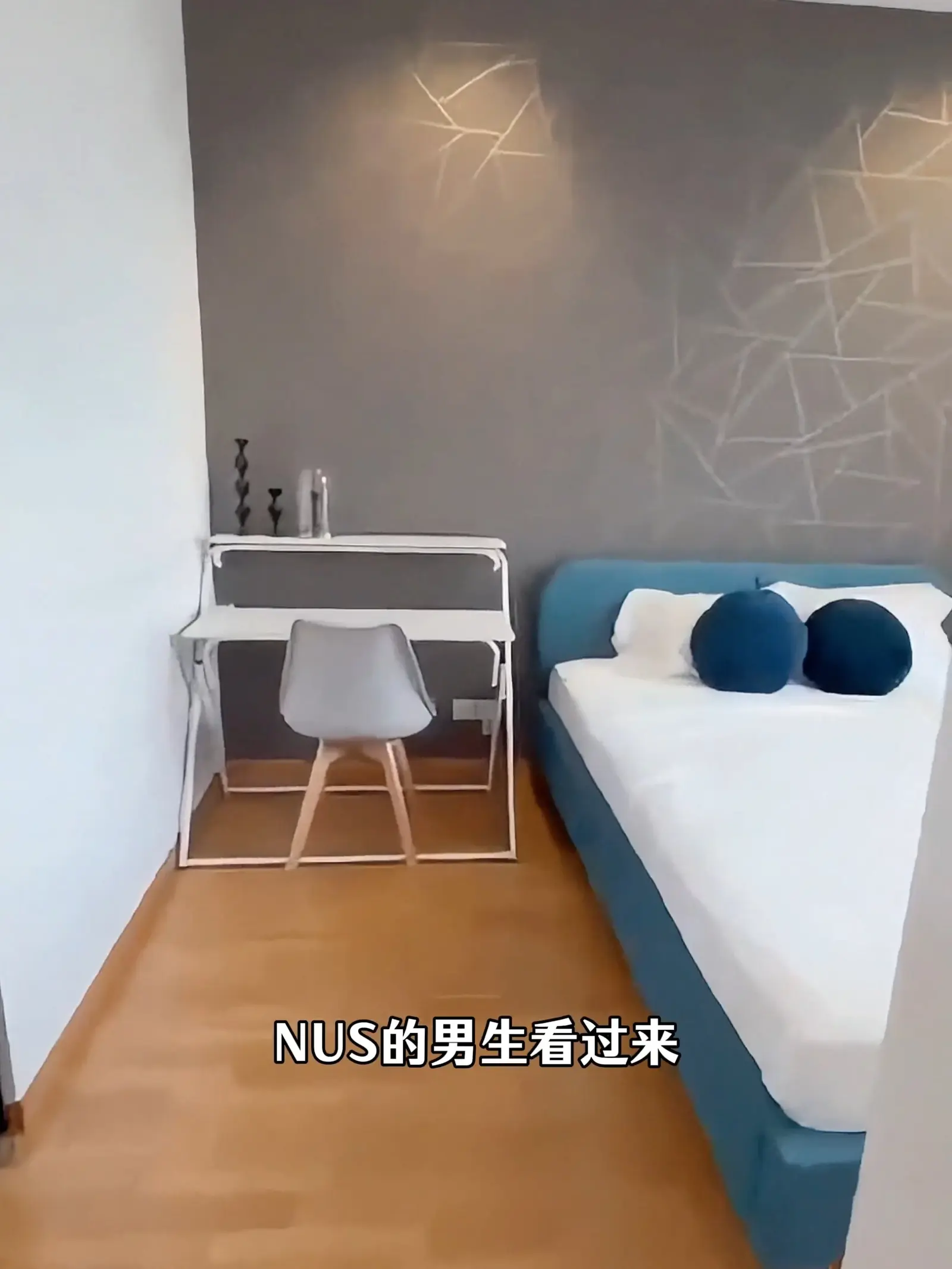 新加坡租房|全男生合租✨步行达NUS太爽啦!