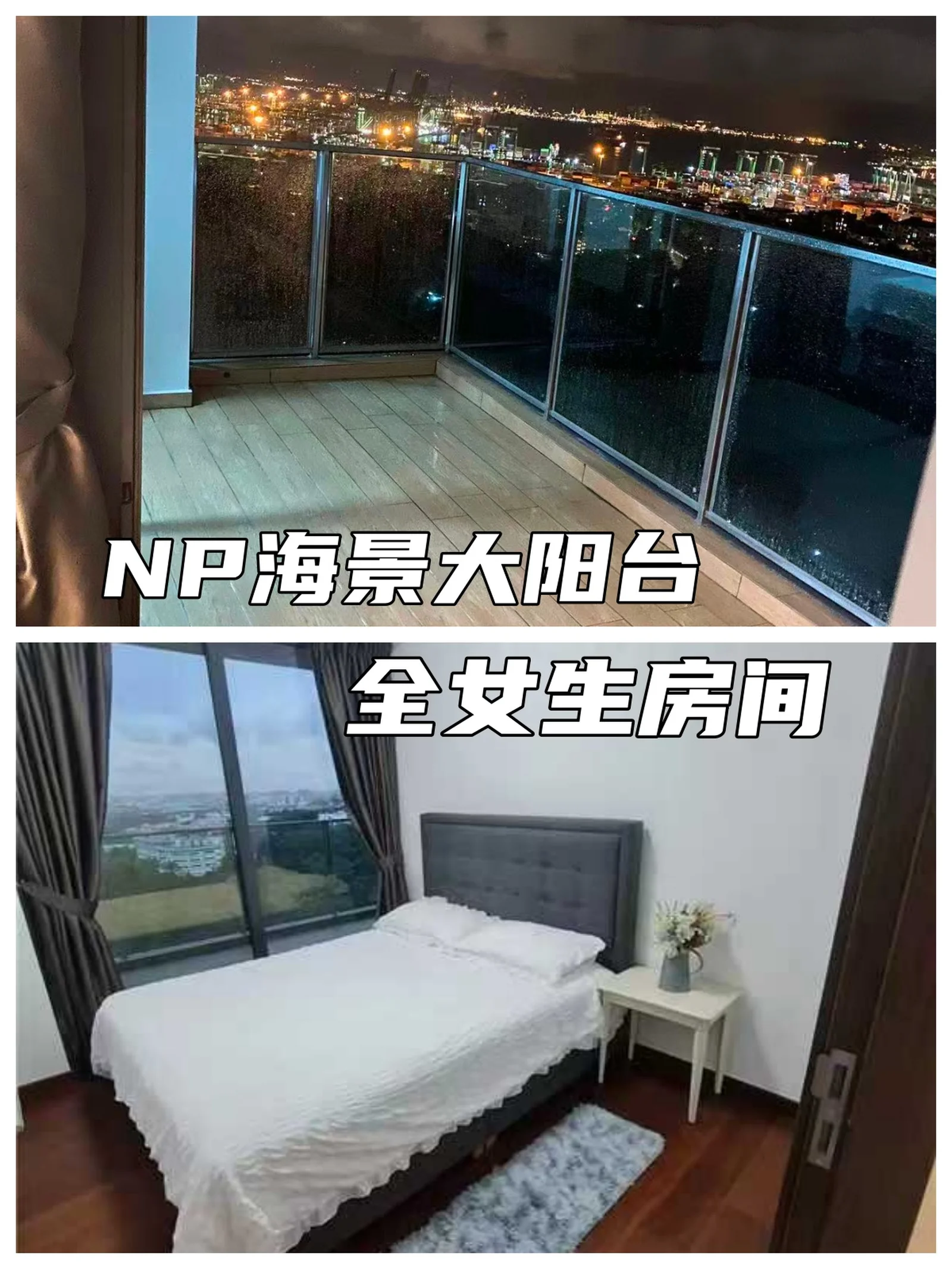 新加坡normanton park全女生高层海景房阳台房