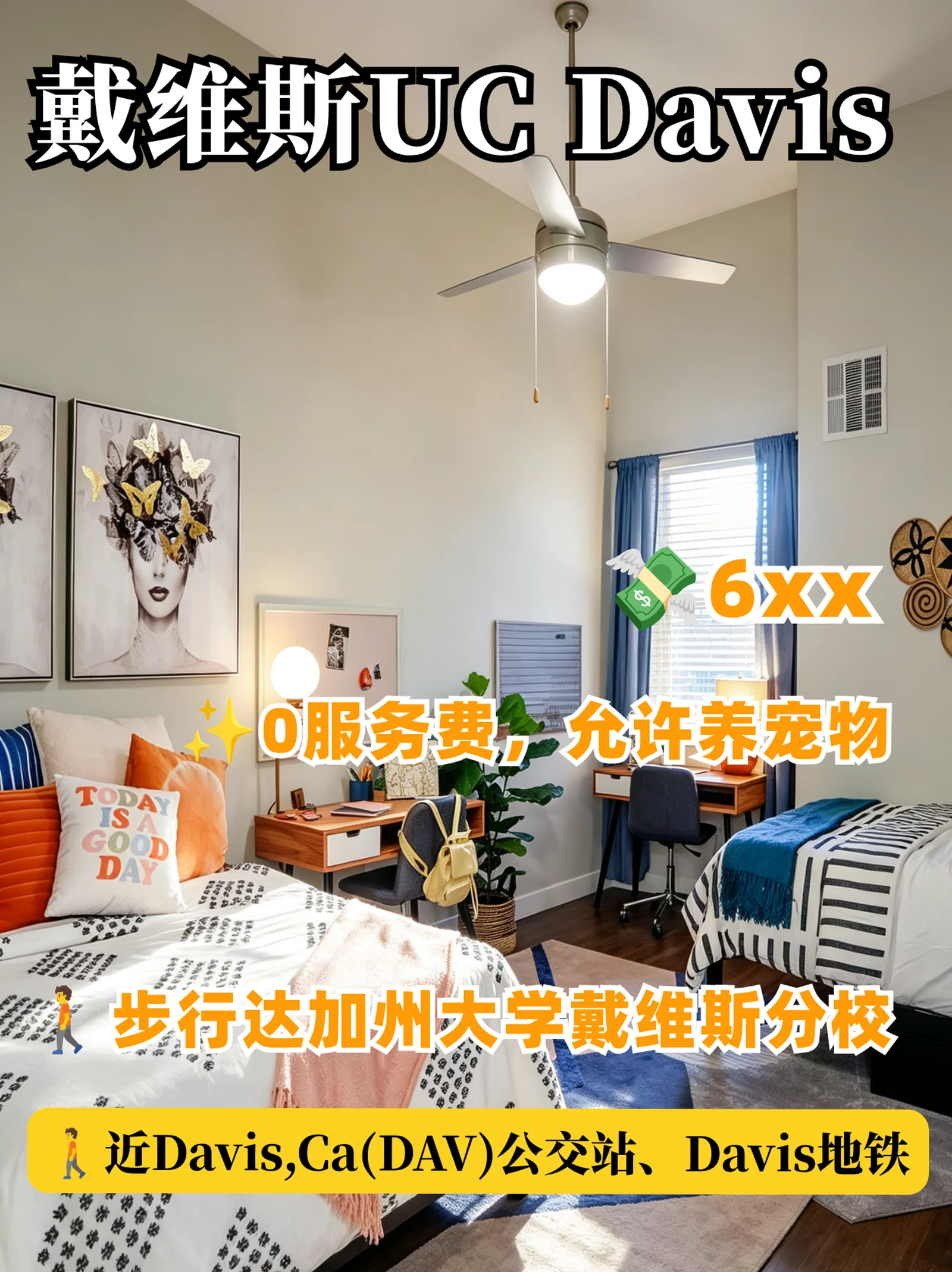 戴维斯租房｜UC Davis周边🔥0服务费可养宠
