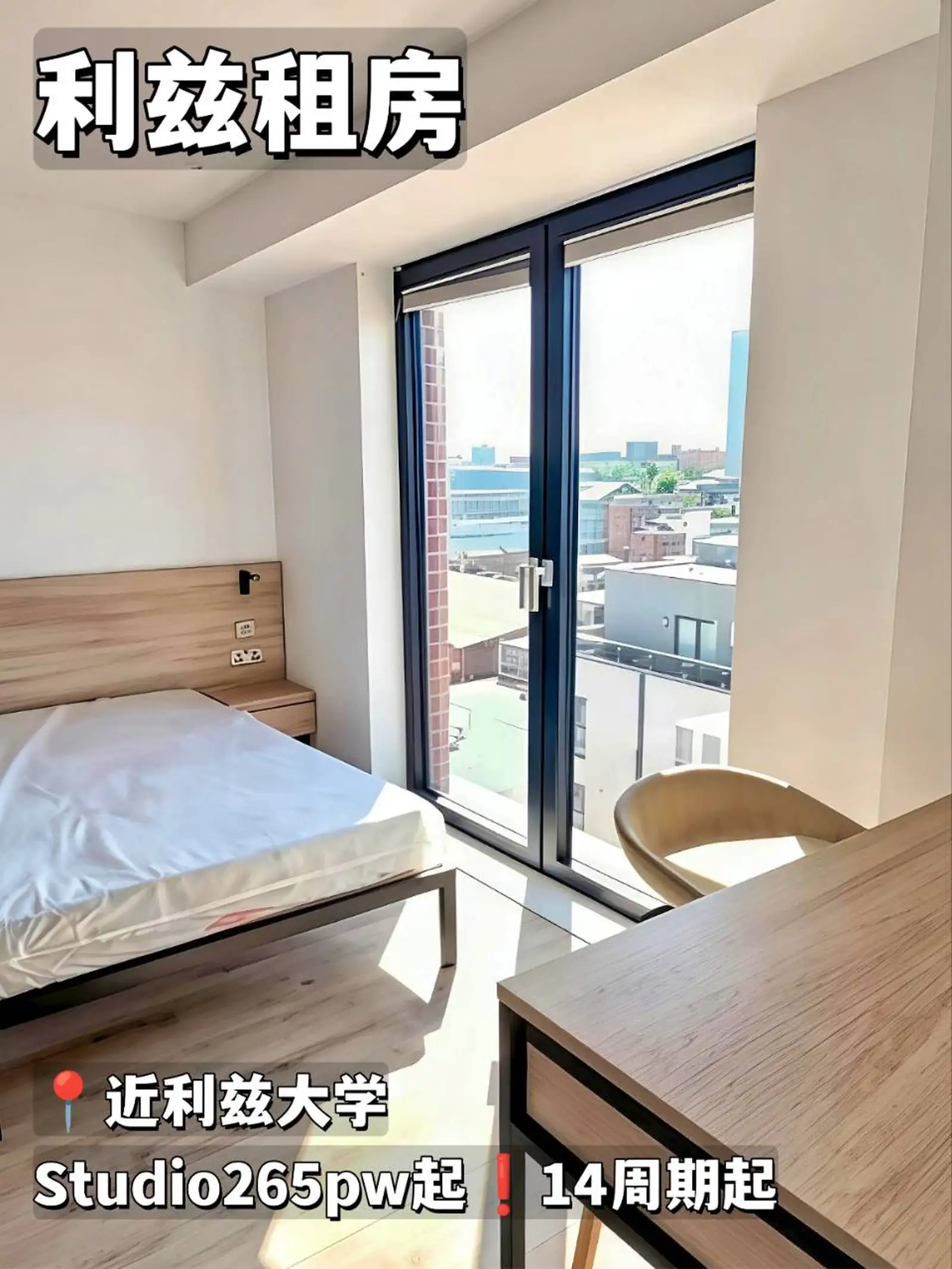 利兹租房❗利兹大学旁Studio仅265pw起！