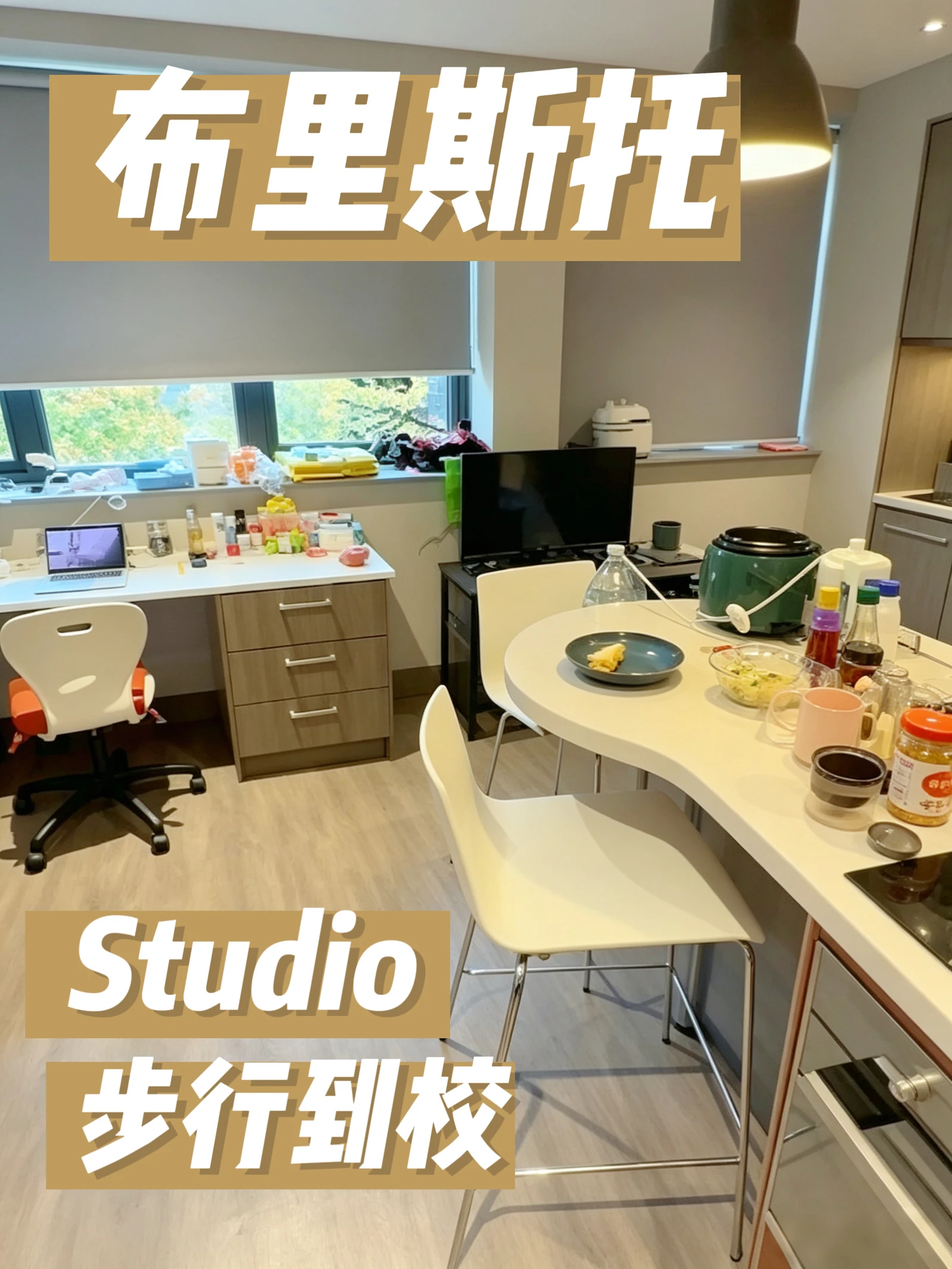 布里斯托懒人福音|下楼直达商学院法学院的Studio!一进门就爱上的氛围感❗
