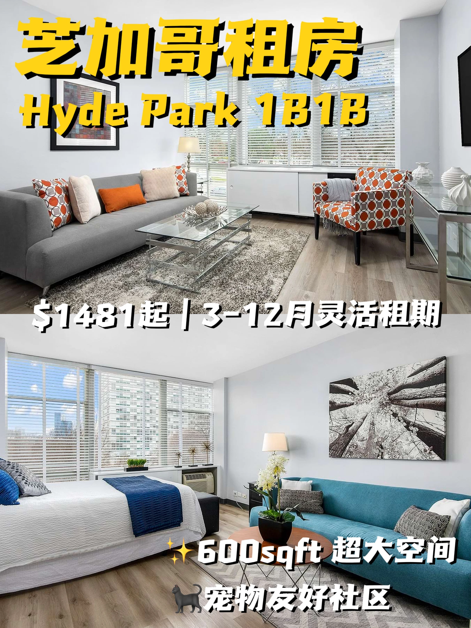 芝加哥租房✨Hyde Park优质1B1B