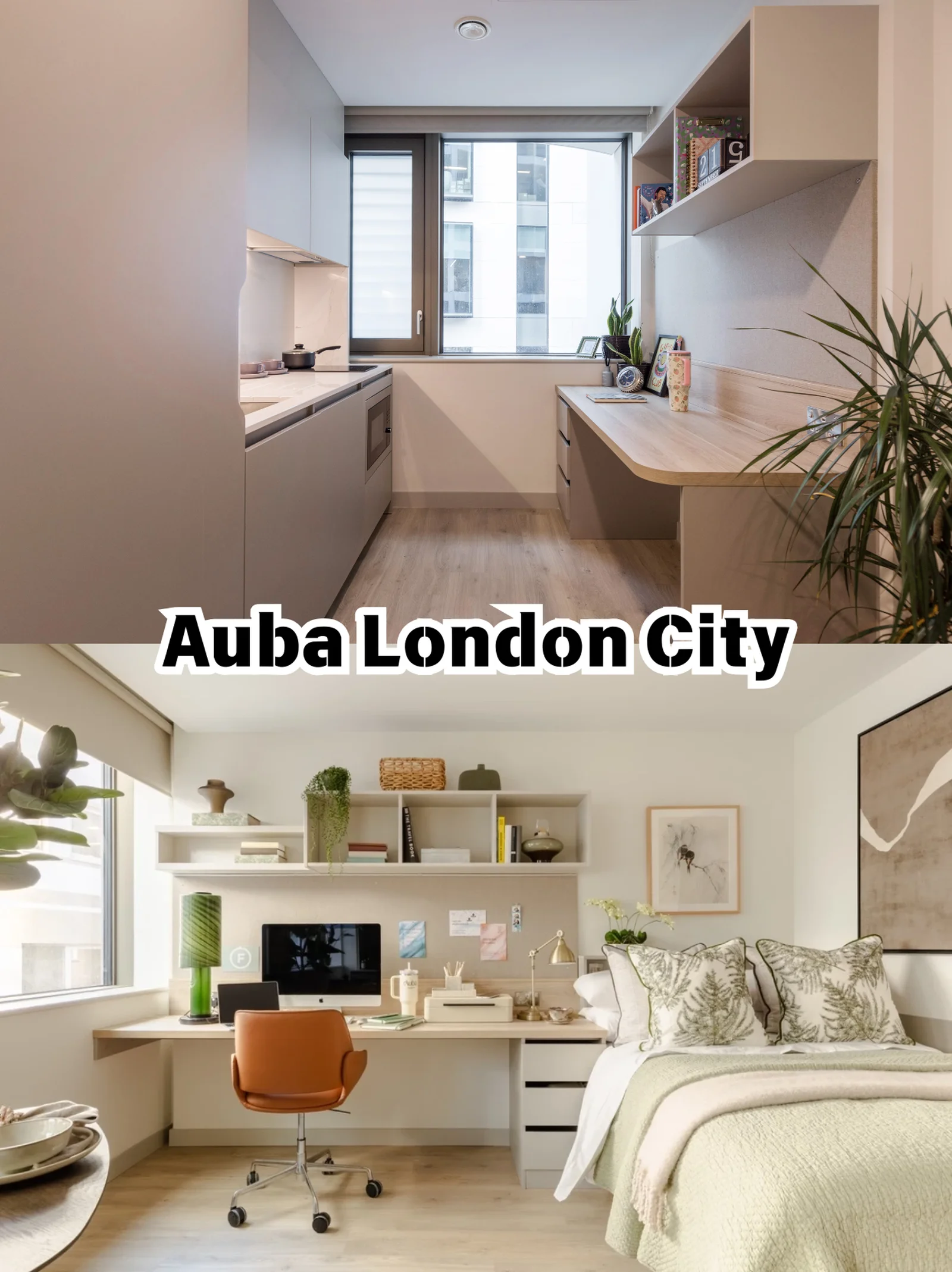 伦敦租房｜Auba London City户型合集✨
