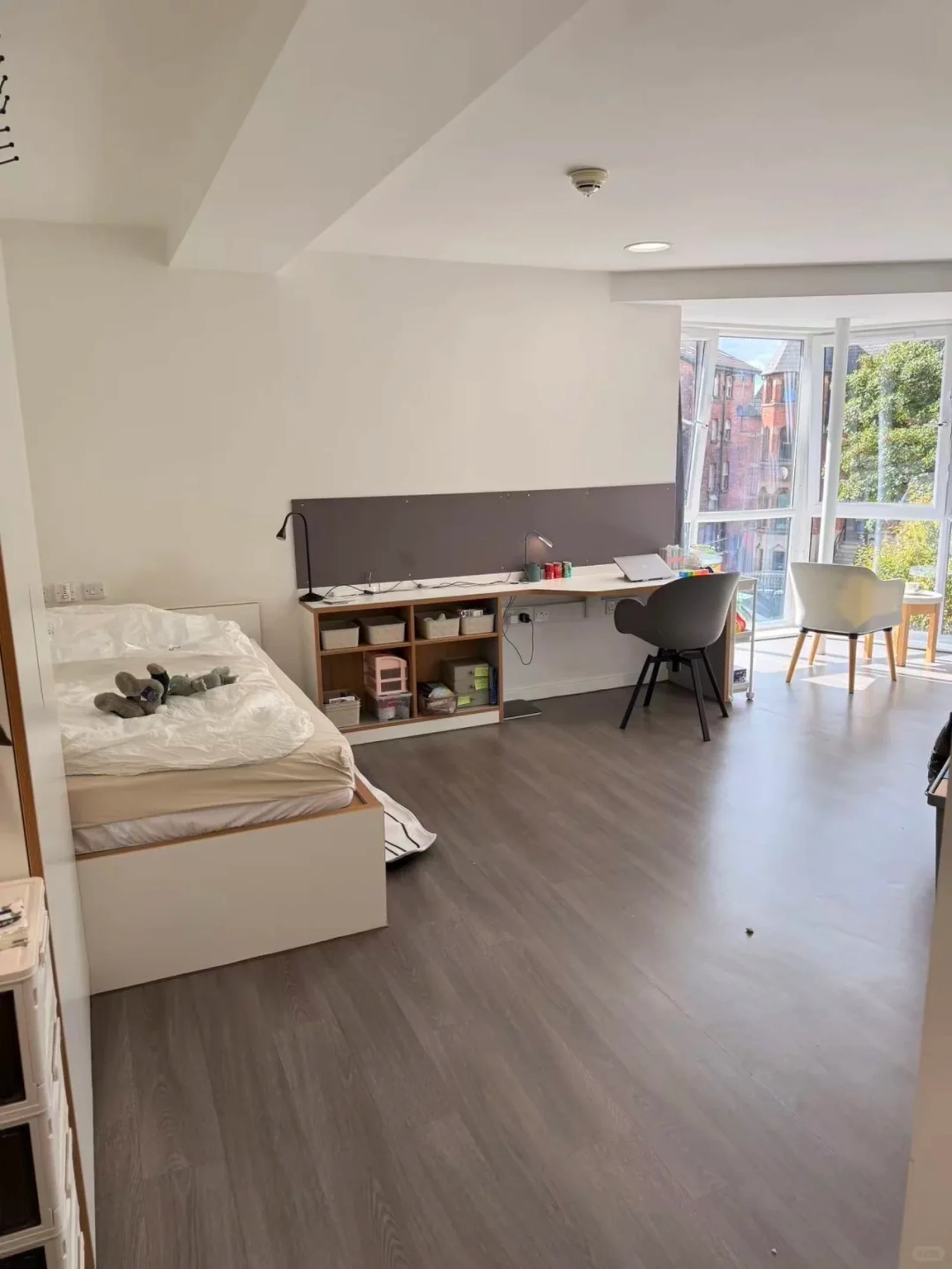 利兹 | 全景角窗落地窗studio❗️走路上学