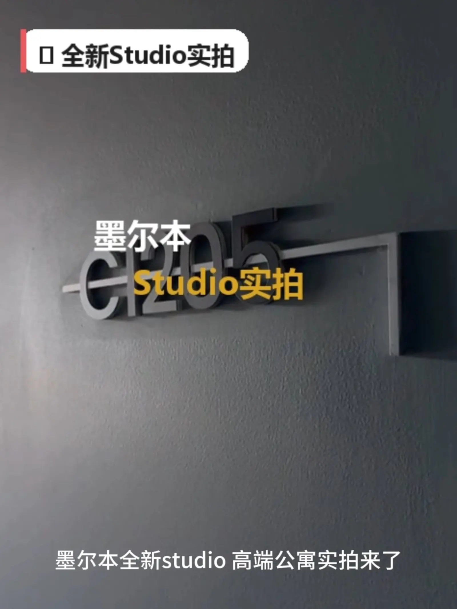 墨尔本租房｜宠物友好Studio！直达莫纳什考费校区谁懂！