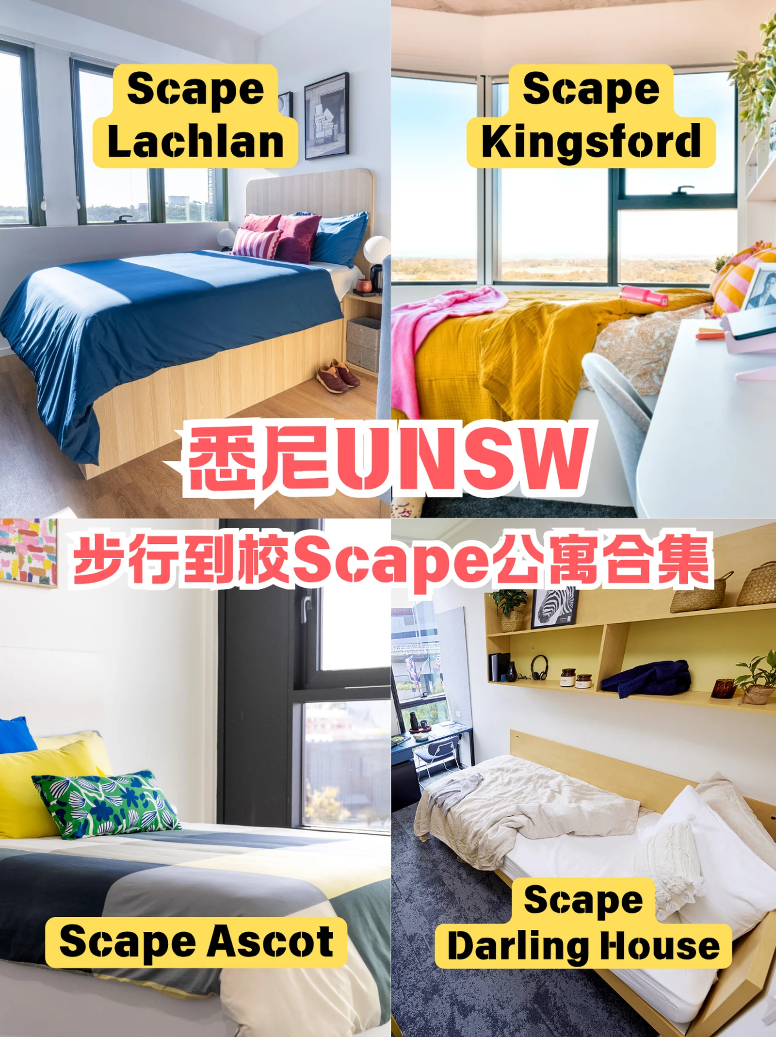 悉尼 UNSW 预算 7xx🔥步行到校公寓合集