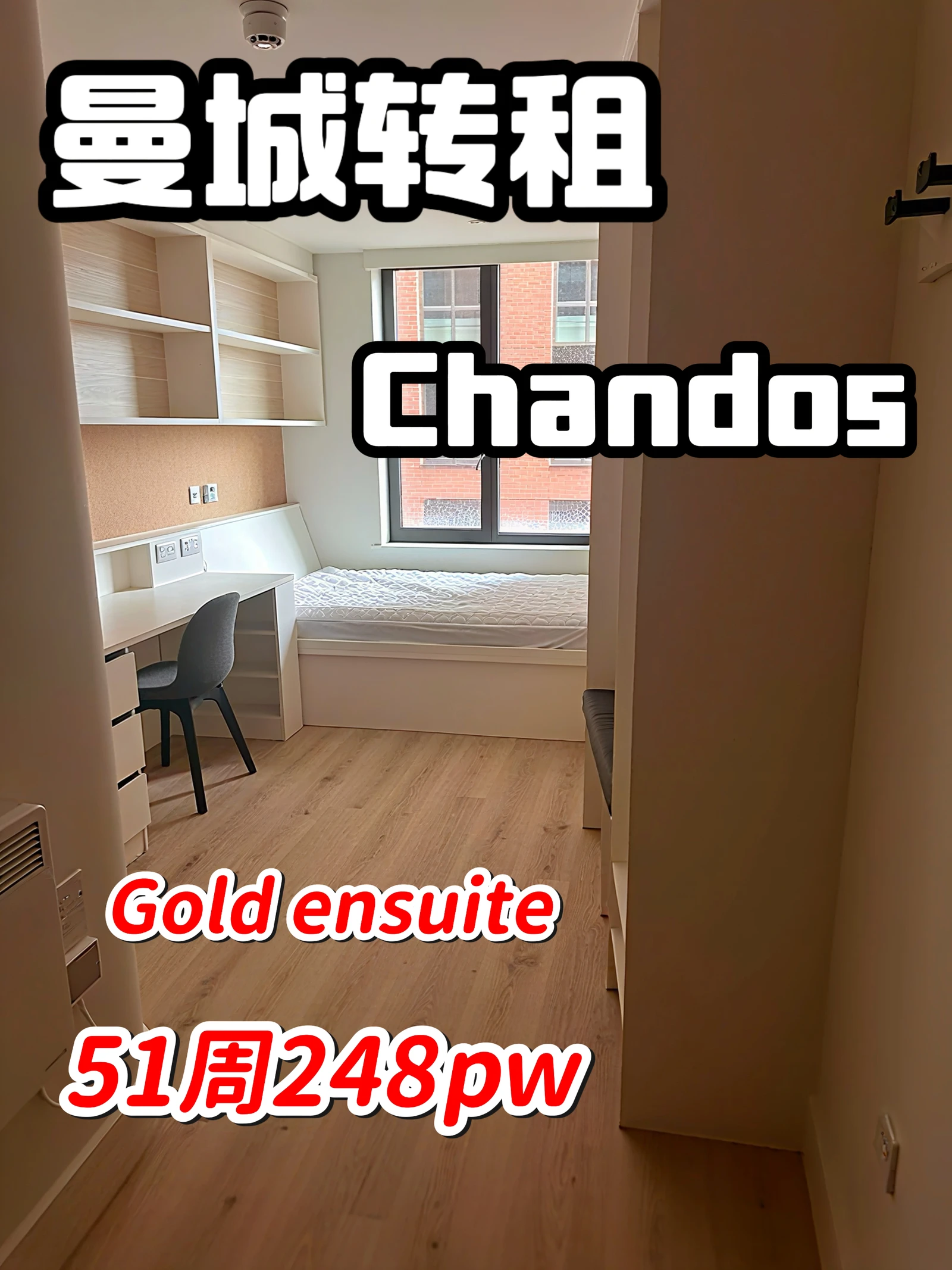 曼城转租 chandos华人室友💰248pw