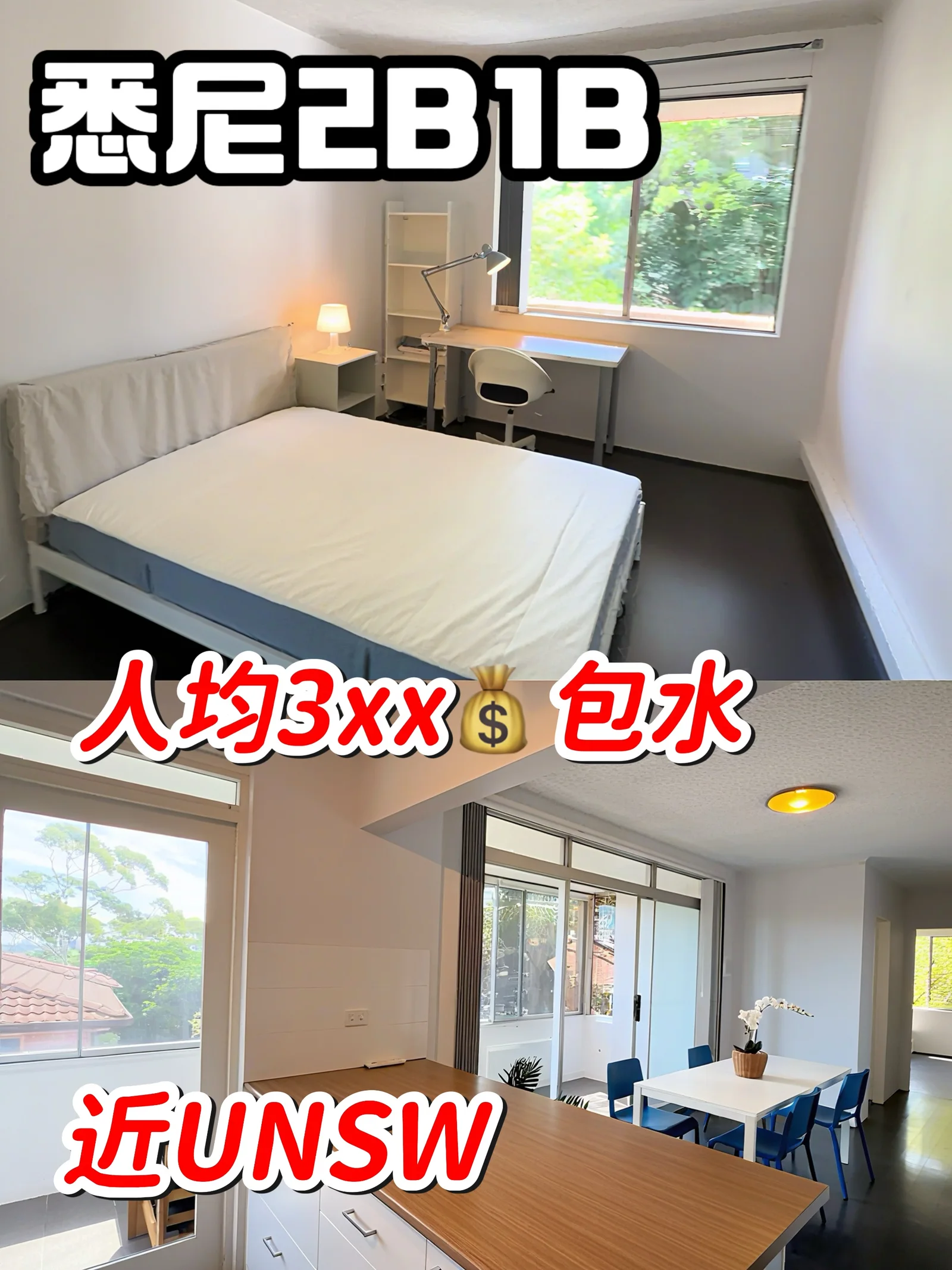 悉尼租房 unsw📍2b1b社会公寓 人均3xx 包水！