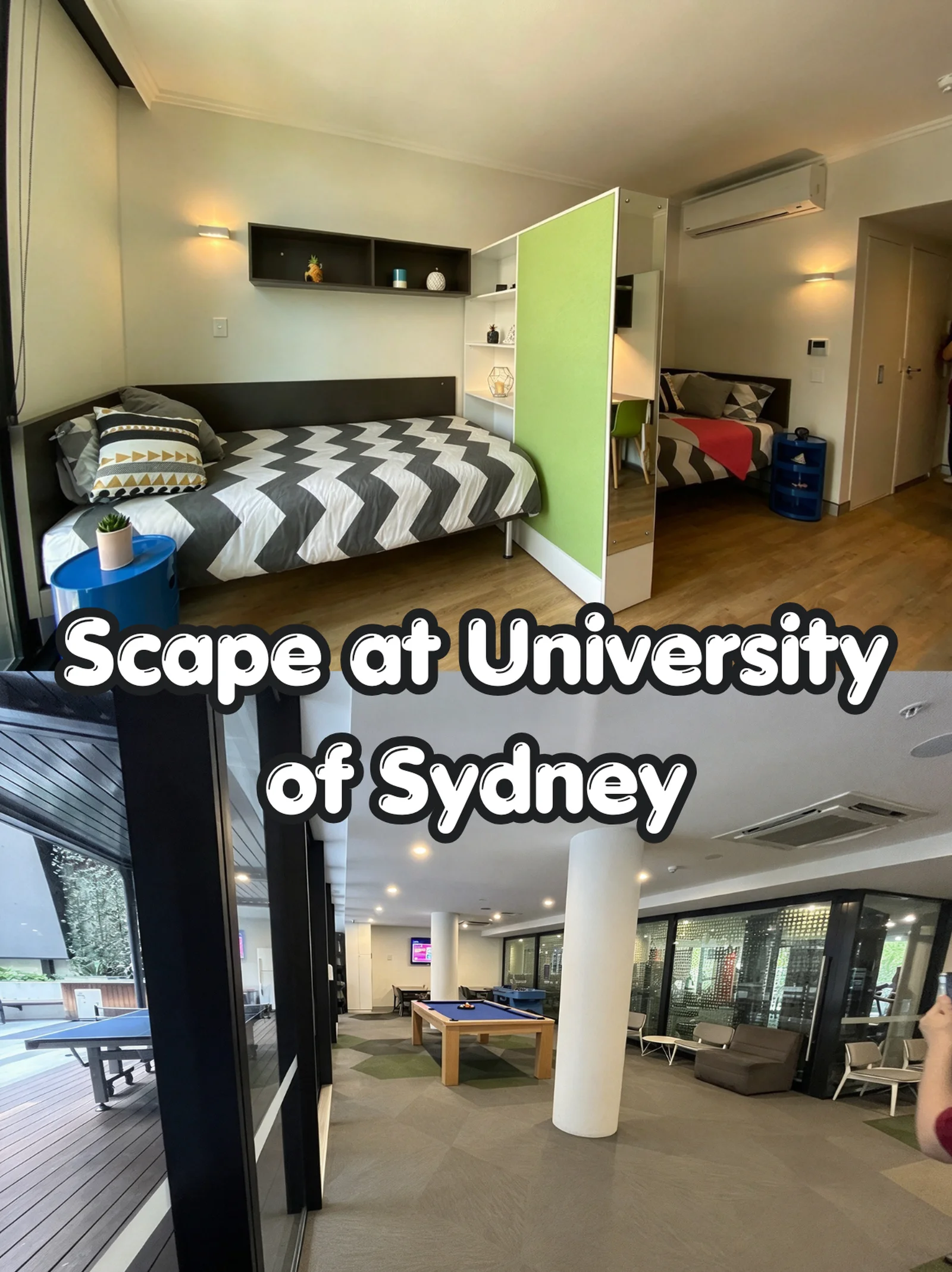 USYD 租房看这张图！悉大附近公寓汇总🔥