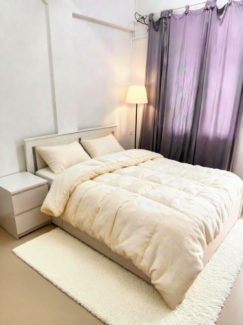 新加坡租房指南：留学生和上班族如何选地铁房？纽顿、牛车水、小印度对比-异乡好居