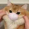 曾**
