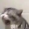 LI**