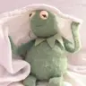 GAO**