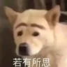 谢**