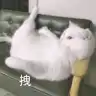 Xu**