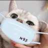 刘**