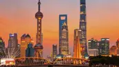 Shanghai Live