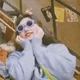 房姐租房