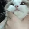 尚**