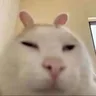 窦**