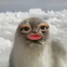 DU**
