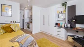 Skyline&Pethouse deluxe with city view