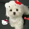 俞**