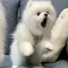 蒋**