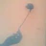 LI**