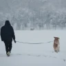 田**