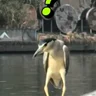 LIU**