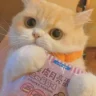 ZHONG**