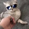 热**
